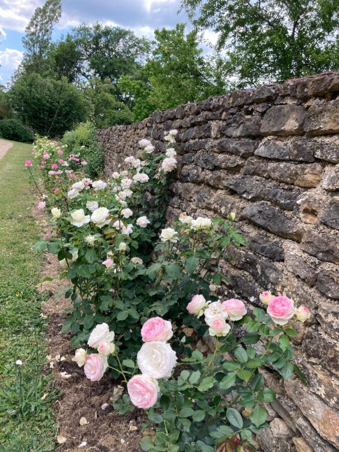 Moutiers-Saint-Jean La Buffonnerie Bed & Breakfast エクステリア 写真